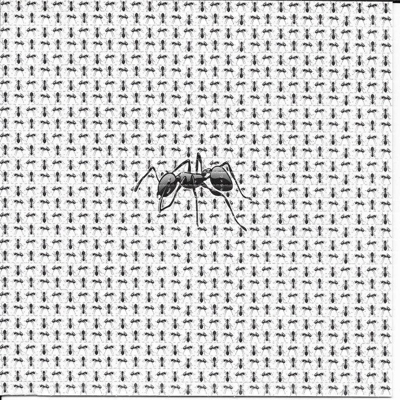Ink Blotter Paper - 개미 동물 환각 LSD 산성 무료