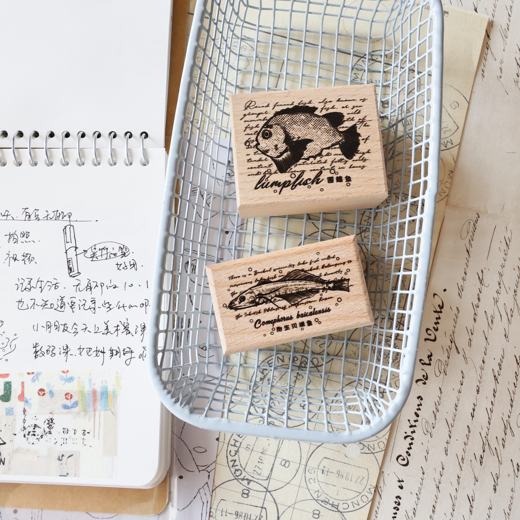 두 마리 너구리 빈티지 작은 고양이 데이트 플래너용 고 - Rubber Date Stamp 리뷰 및 가격