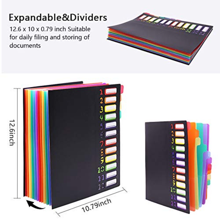 Edufun 레인보우 탭 확장 파일 폴더 - 24포켓, - Tab Divider A4 리뷰 및 가격