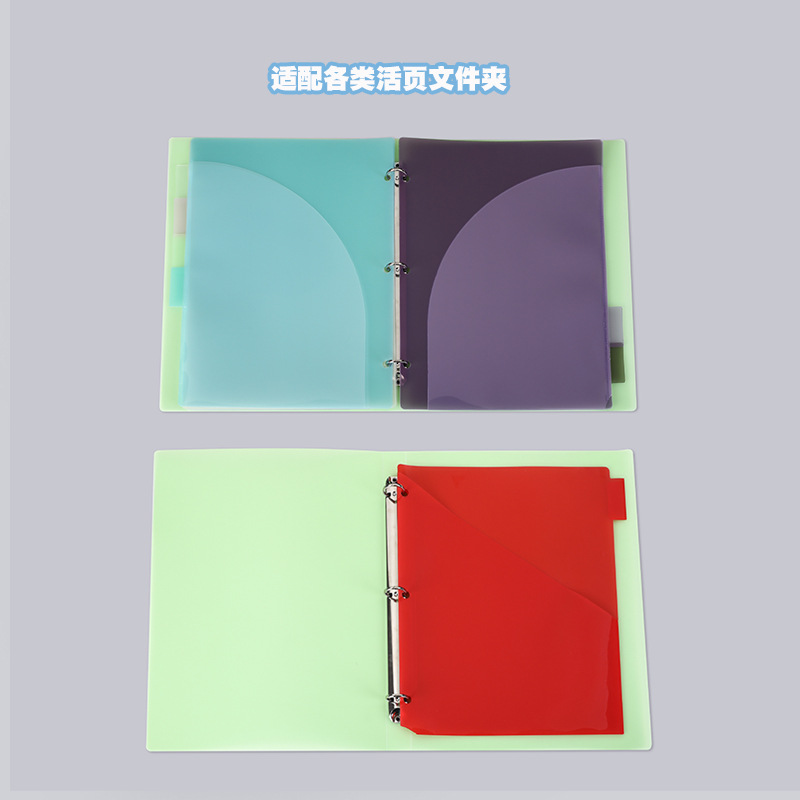 A4 3홀 바인더 디바이더 6탭 파스텔 캔디 컬러 PP - Tab Divider A4 리뷰 및 가격