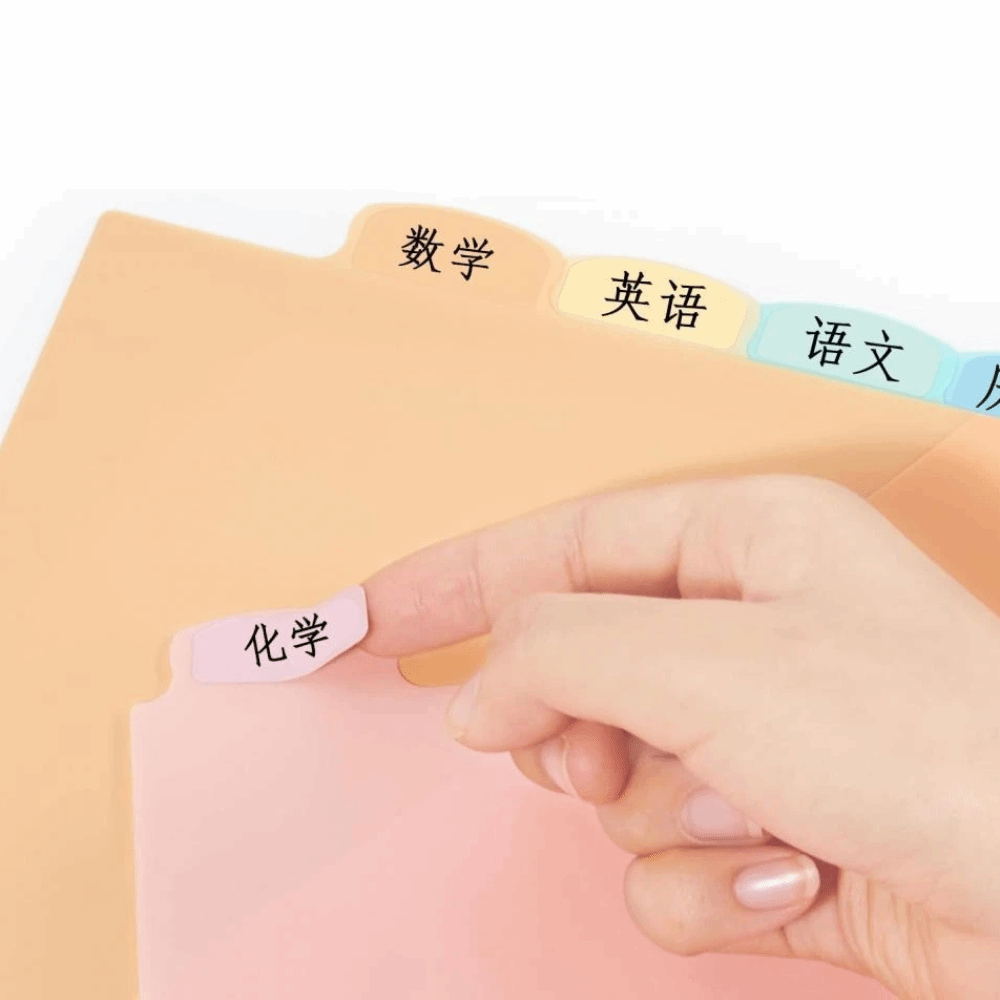 8개입 내구성 있는 A4 파스텔 바인더 디바이더 8탭  - Tab Divider A4 리뷰 및 가격