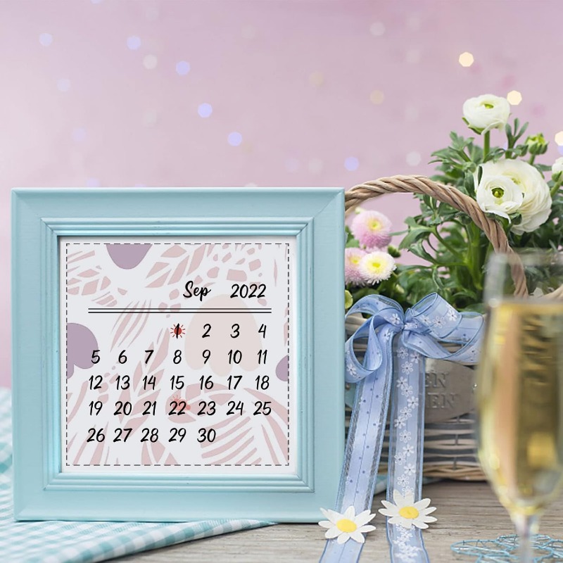 1PC 8.3x5.8in 달력 클리어 스탬프 날씨 표지 - Rubber Date Stamp 리뷰 및 가격